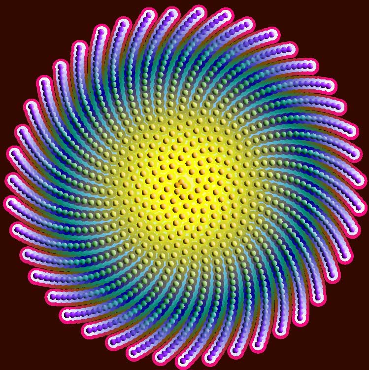 Daisy8 Daisy8
