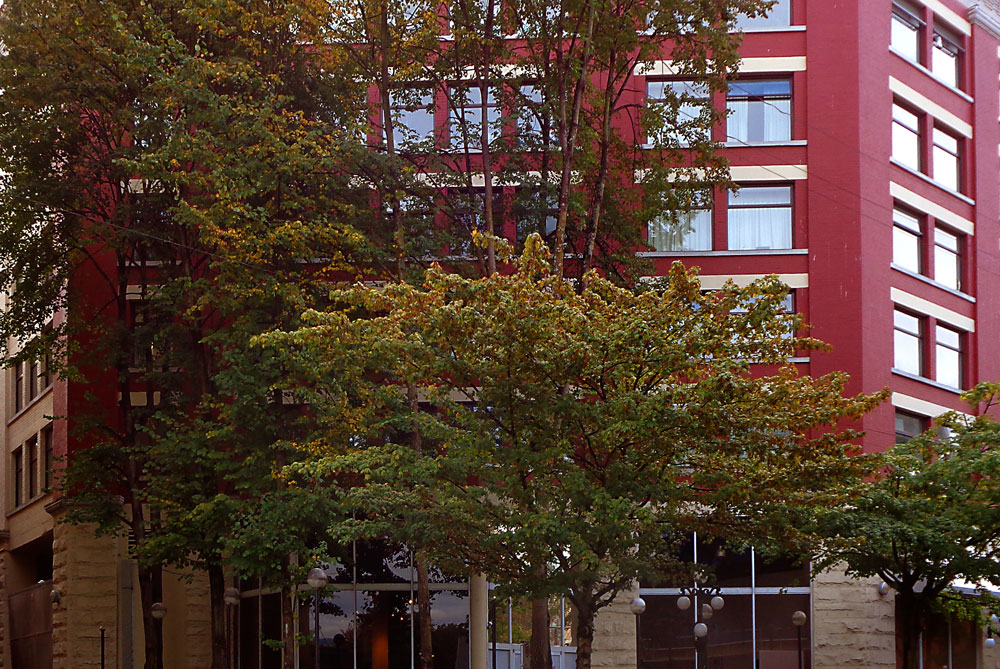 facade-437.jpg