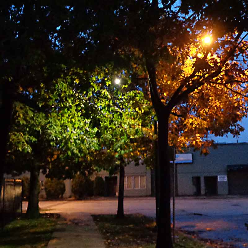 morning-walk-8.jpg 